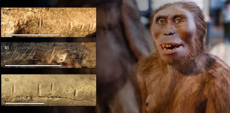 Los parientes evolutivos de los humanos se comían unos a otros