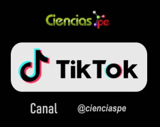 Canal en Tiktok
